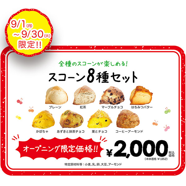 スコーン8個セット［9月］